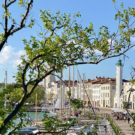 Vue Sur Le Vieux Port